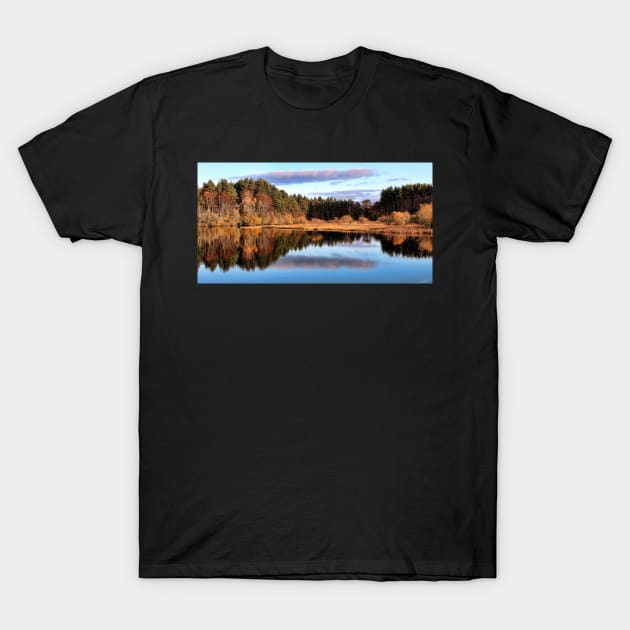 Loch Kildary-Scotland T-Shirt by dhphotography